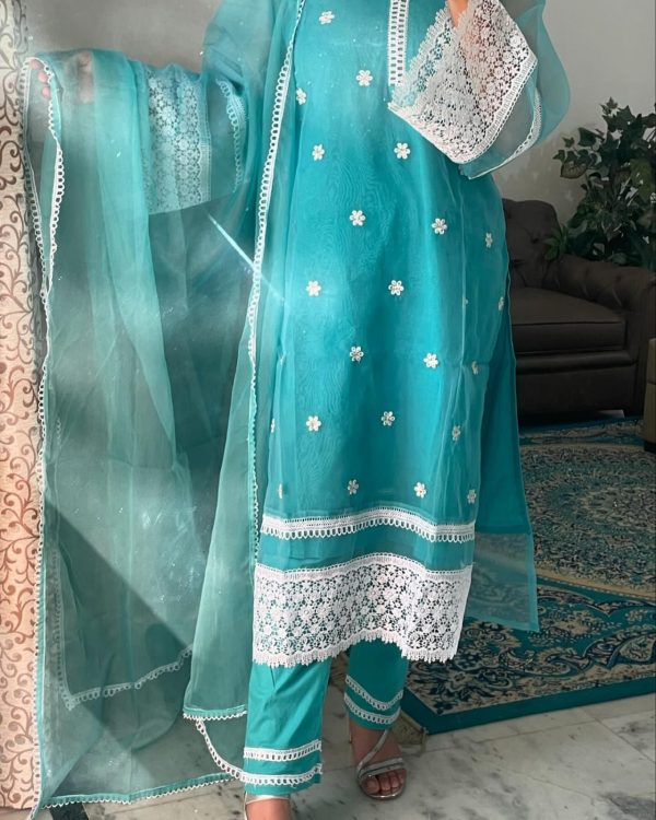 Ethereal Elegance – Embroidered Organza Pret