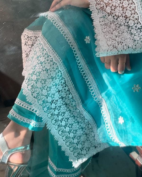 Ethereal Elegance – Embroidered Organza Pret - Image 4