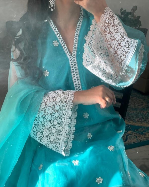 Ethereal Elegance – Embroidered Organza Pret - Image 3